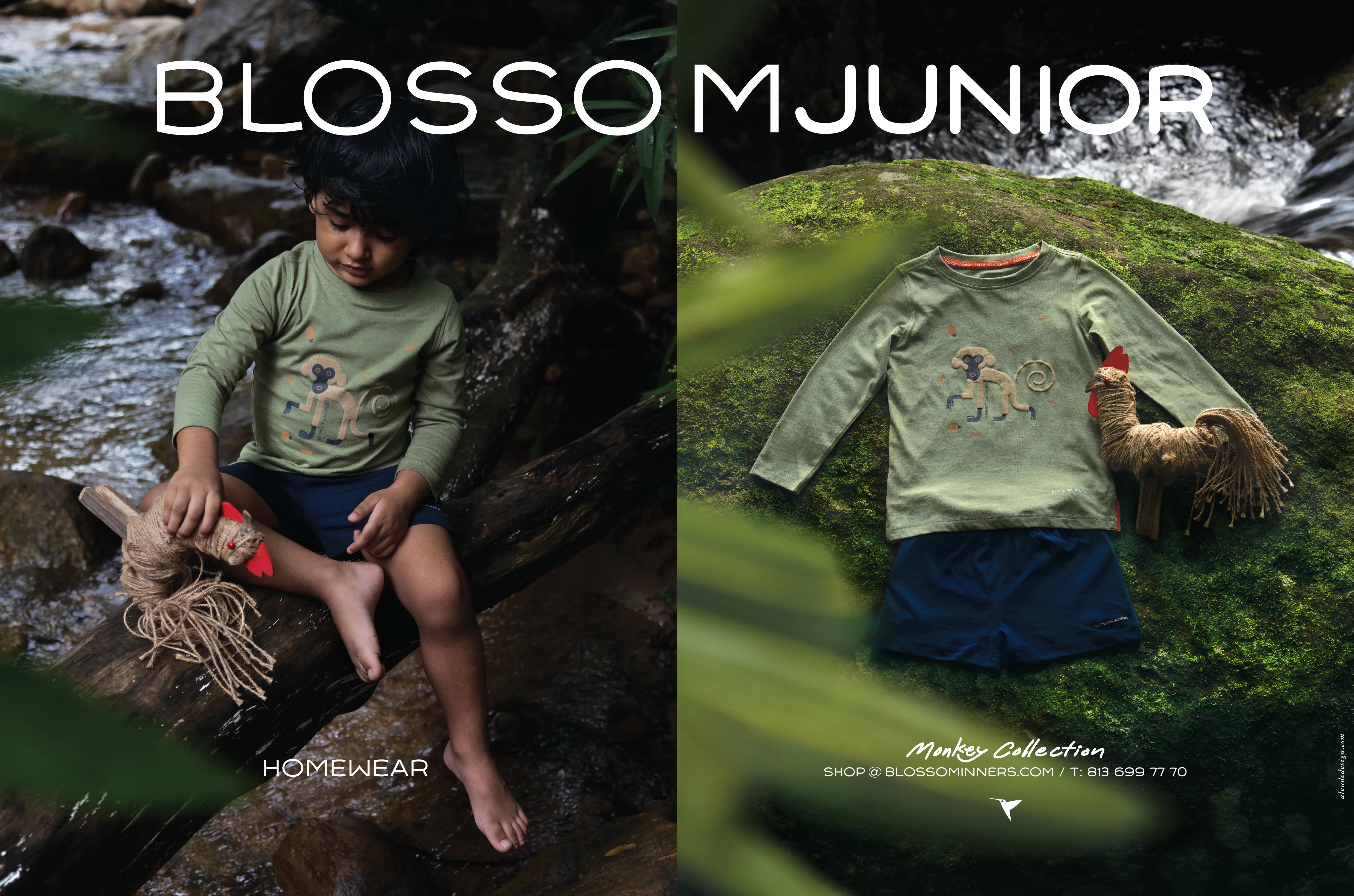 BSM Jr 3