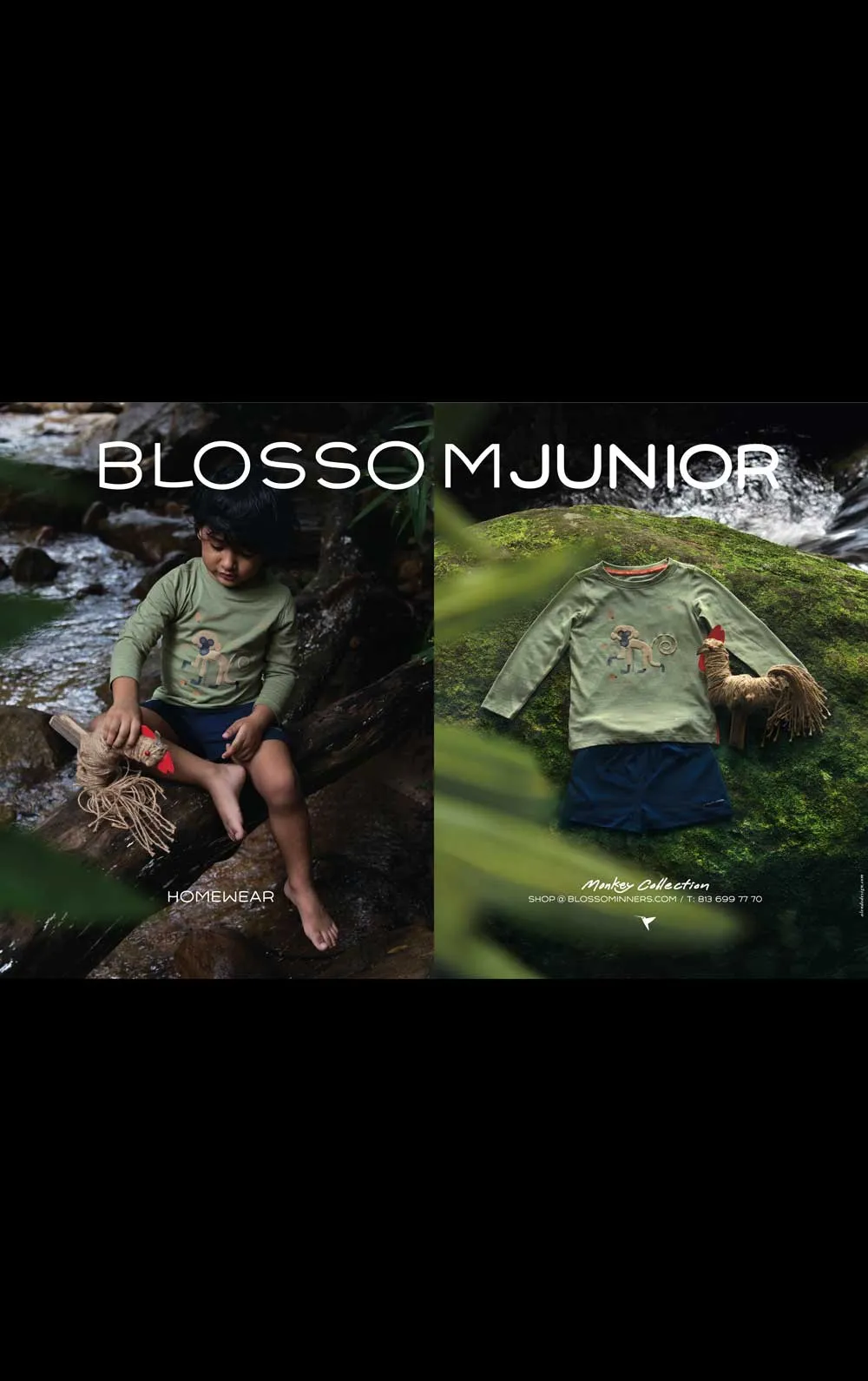 Campaign-3
